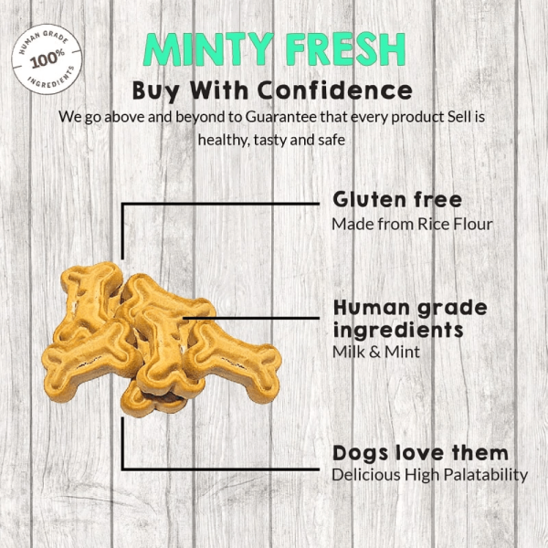 Goofy Tails Minty Fresh Milk & Mint Biscuit Treats for Dogs & Puppies Online now