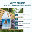 Bio Groom White Ginger Natural Scent Shampoo for Dogs and Cats Sale