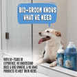 Bio Groom Country Freesia Natural Scent Shampoo for Dogs and Cats Online now