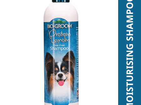 Bio Groom Protein Lanolin Moisturising Shampoo for Dogs and Cats Online Sale