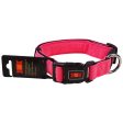 Glenand Nylon Mesh Collar for Dogs (Pink) Sale