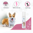 Basil Iris Cologne Spray for Dogs and Cats Online