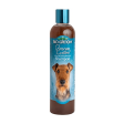 Bio Groom Bronze Lustre Color Enhancer Shampoo For Dogs For Sale