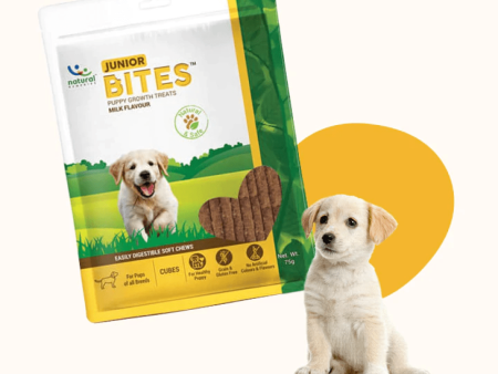 Natural Remedies Junior Bites for Dogs Hot on Sale