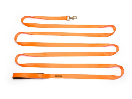 PetWale Long Lead Nylon Leash for Dogs (Orange) Fashion