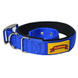 Glenand Padded Collar for Dogs (Light Blue) Sale