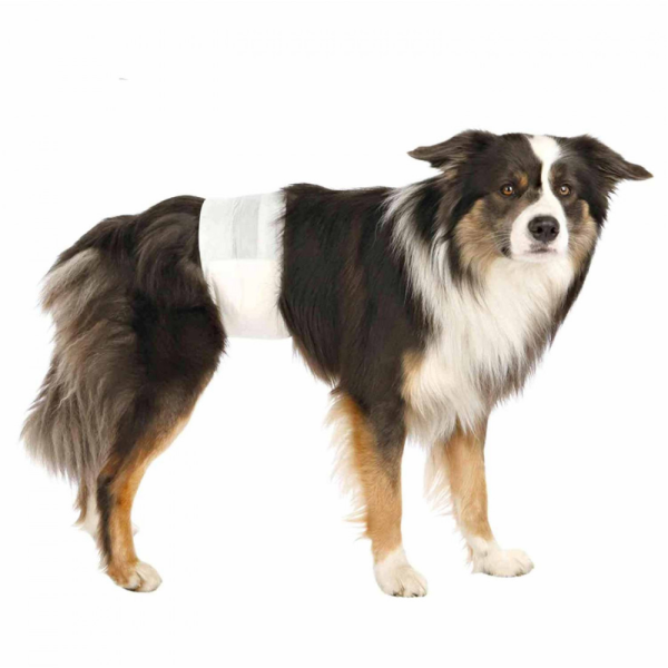 Trixie Diapers for Male Dogs (30x46cm) For Discount