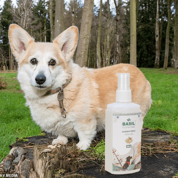 Basil Garden Fresh Perfume Spray for Dogs and Cats on Sale