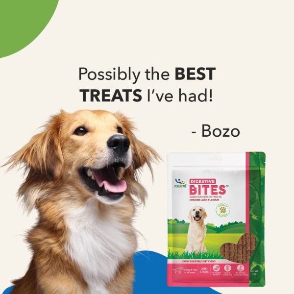 Natural Remedies Digestive Bites Chew Treats for Dogs Cheap