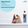 Bio Groom Indulge Sulfate Free Pure Argan Oil Shampoo for Dogs and Cats Discount