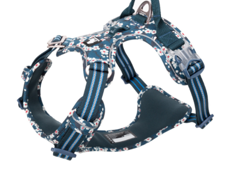 Truelove Floral No Pull Pet Harness for Dogs (Saxony Blue) Fashion