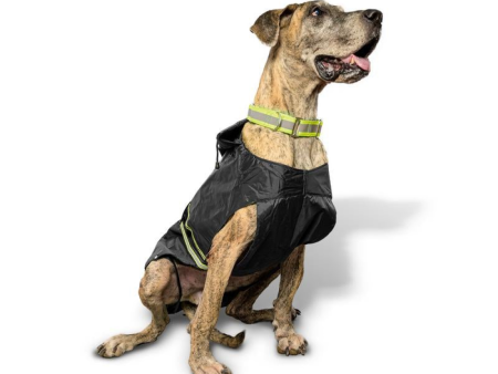 PetWale Reflective Raincoat for Dogs (Black) Online Sale