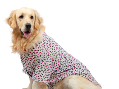 Up4pets Dreamy Hearts Cotton Shirts for Dogs (Pink) Sale