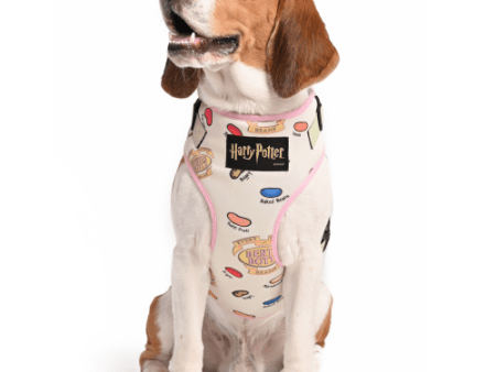 Harry Potter Every Flavour Bean Harness for Dogs Cheap