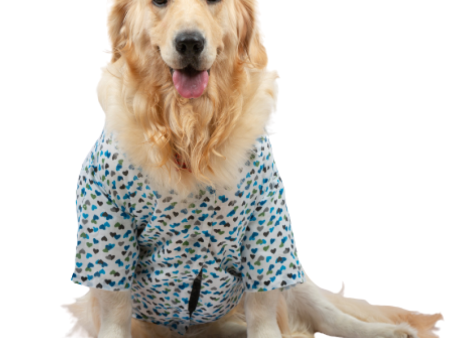 Up4pets Dreamy Hearts Cotton Shirts for Dogs (Blue) Sale