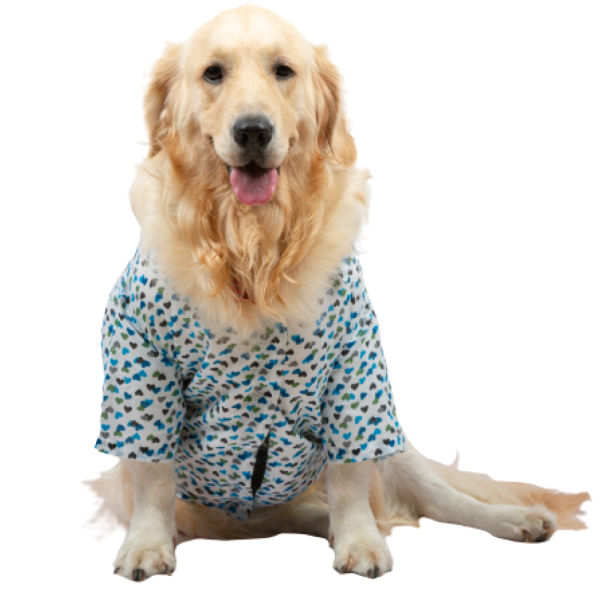 Up4pets Dreamy Hearts Cotton Shirts for Dogs (Blue) Sale