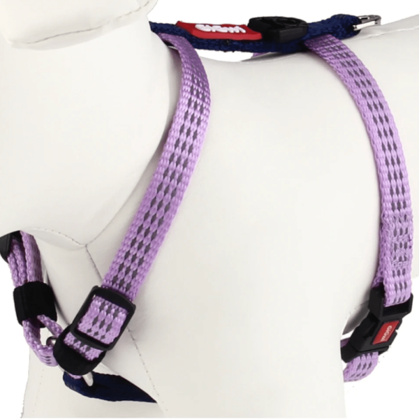 GiGwi Classic Line Harness for Dogs (Purple) Online now