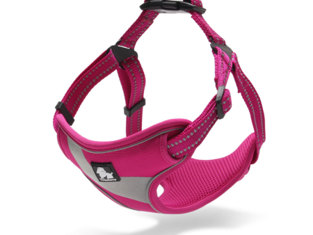 Truelove Step in Harness for Dogs (Fuschia) Fashion