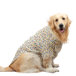 Up4pets Dreamy Hearts Cotton Shirts for Dogs (Orange) on Sale