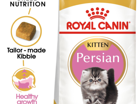 Royal Canin Persian Kitten Cat Dry Food For Cheap