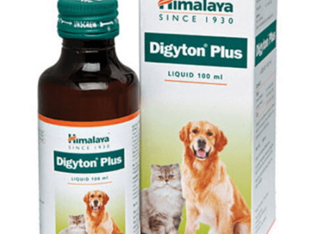 Himalaya Digestive Stimulant Digyton Plus Syrup for Dogs and Cats Supply