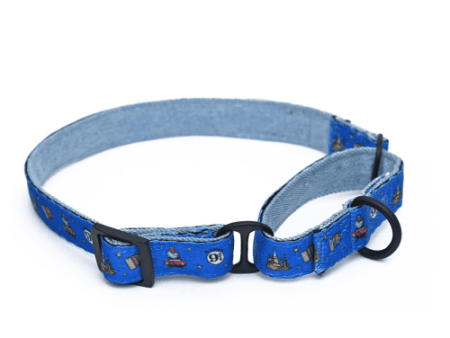 Harry Potter Welcome To Hogwarts Martingale Collar for Dogs Sale