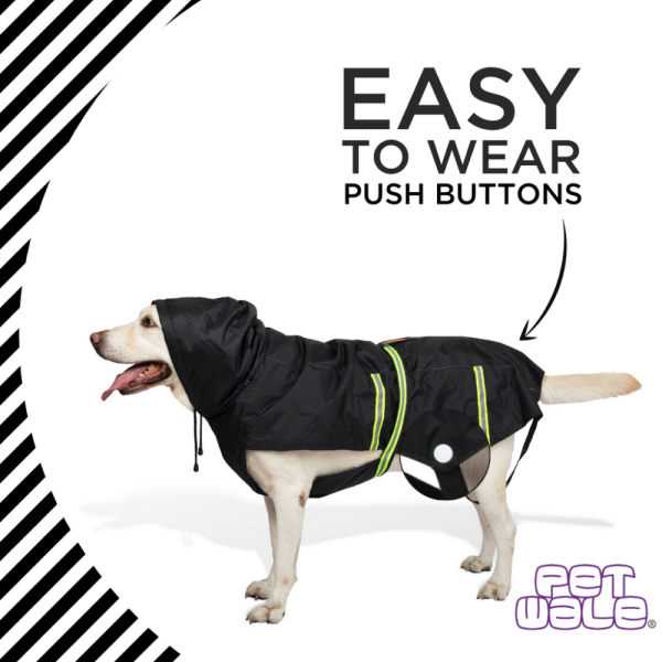 PetWale Reflective Raincoat for Dogs (Black) Online Sale