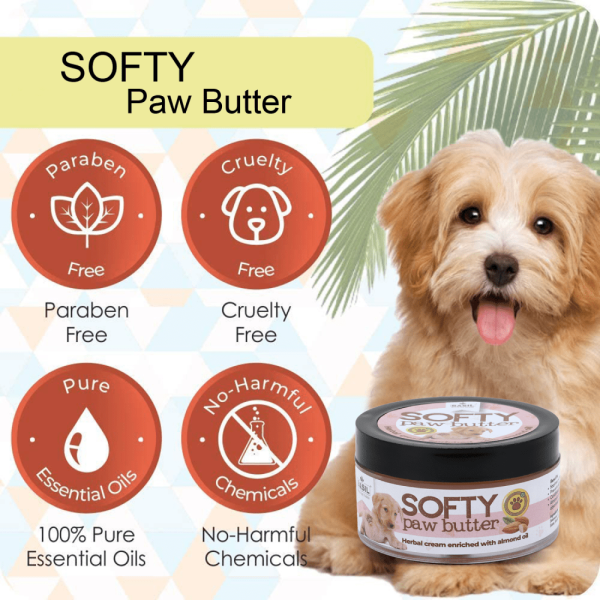 Basil Almond Softy Paw Butter for Dogs For Sale