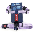 GiGwi Classic Line Harness for Dogs (Purple) Online now