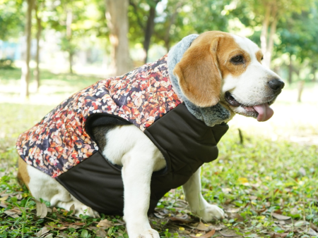 Up4pets Small Autumn Leaf Polyester Fleece Jackets for Dogs and Cats Discount