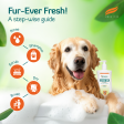 Himalaya Erina EP Tick and Flea Shampoo for Dogs and Cats Sale