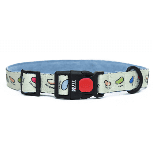 Harry Potter Every Flavour Bean Collar for Dogs For Sale