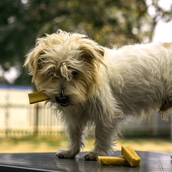 Dogsee Chew 100% Natural Yak Milk Bars Small Breed Dog Treats Fashion