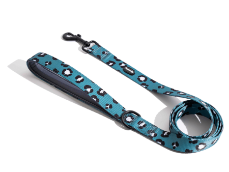 Furry & Co Wild One Comfort Leash for Dogs Online now