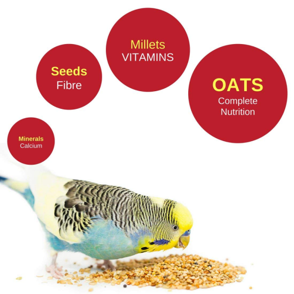 Vitapol Economic Food for Budgies Cheap