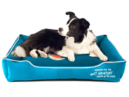 Captain Zack Dream Bedzzz for Dogs (Blue) Online