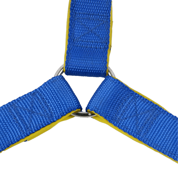 Basil Nylon Padded Adjustable Harness for Dogs (Blue) Online now