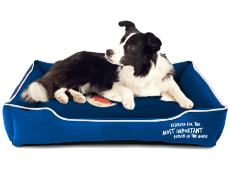 Captain Zack Dream Bedzzz for Dogs (Navy Blue) Online Sale