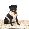 Harry Potter Every Flavour Bean Harness for Dogs Cheap