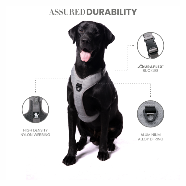 Truelove Harness with Reflective Fabric for Dogs (Gray) Hot on Sale