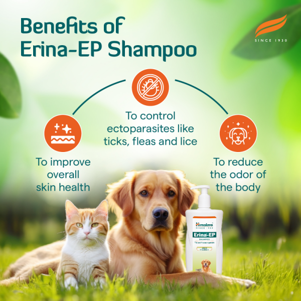 Himalaya Erina EP Tick and Flea Shampoo for Dogs and Cats Sale