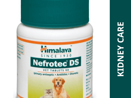 Himalaya Nefrotech DS Vet Tablets for Dogs and Cats For Cheap