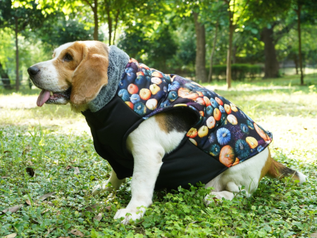 Up4pets Pumpkin Spice Polyester Fleece Jackets for Dogs and Cats For Discount