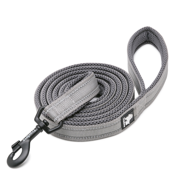 Truelove Classic Leash for Dogs (Grey) Cheap