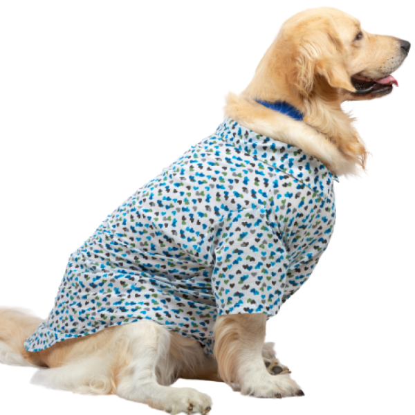 Up4pets Dreamy Hearts Cotton Shirts for Dogs (Blue) Sale