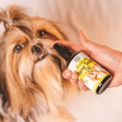 Happy Puppy Organic Hemp Oil for Dogs and Cats Online Hot Sale