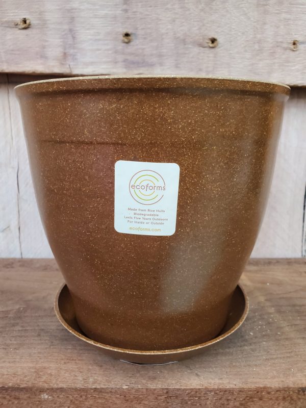 EcoForms Nova 6 Inch Rice Hull Pot Fashion