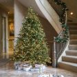 Fraser Fir Christmas Tree Online Hot Sale