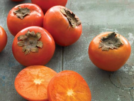 American Persimmon Trees For Cheap