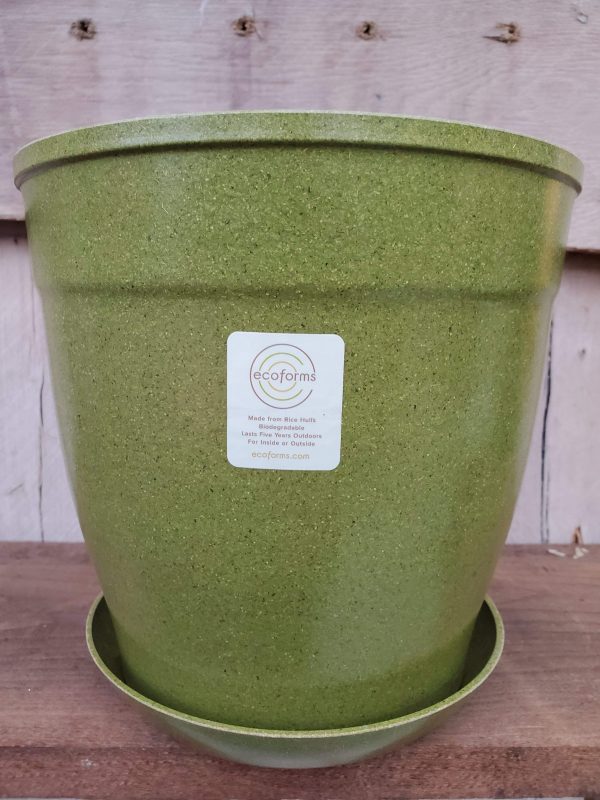 EcoForms Nova 7 Inch Rich Hull Pot For Cheap